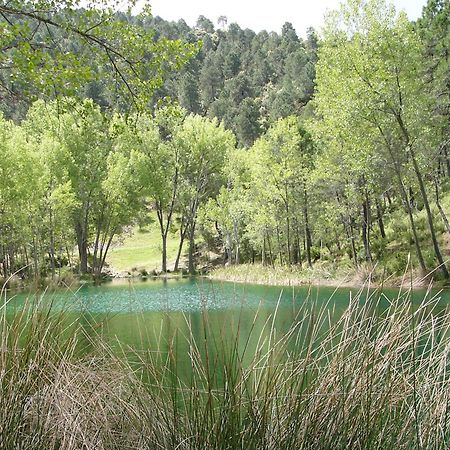 Вилла El Enebro Villaverde De Guadalimar Экстерьер фото